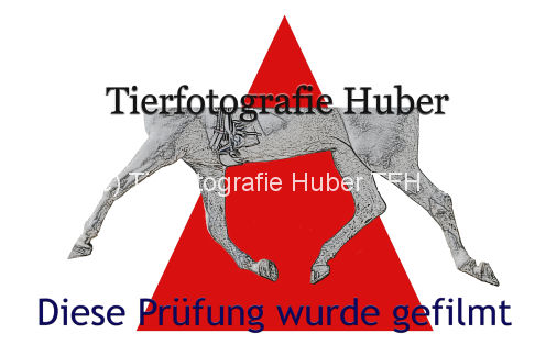 Logo TF-Huber gefilmt.jpg